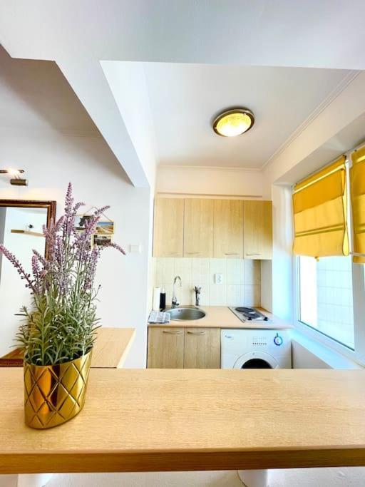 Boutique Apartment In The Bucharest City Center Екстериор снимка